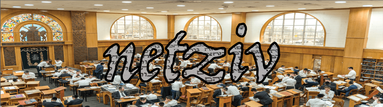 netziv in graphics superimposed on image of large yeshiva